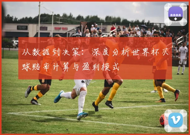 从数据到决策：深度分析世界杯买球赔率计算与盈利模式